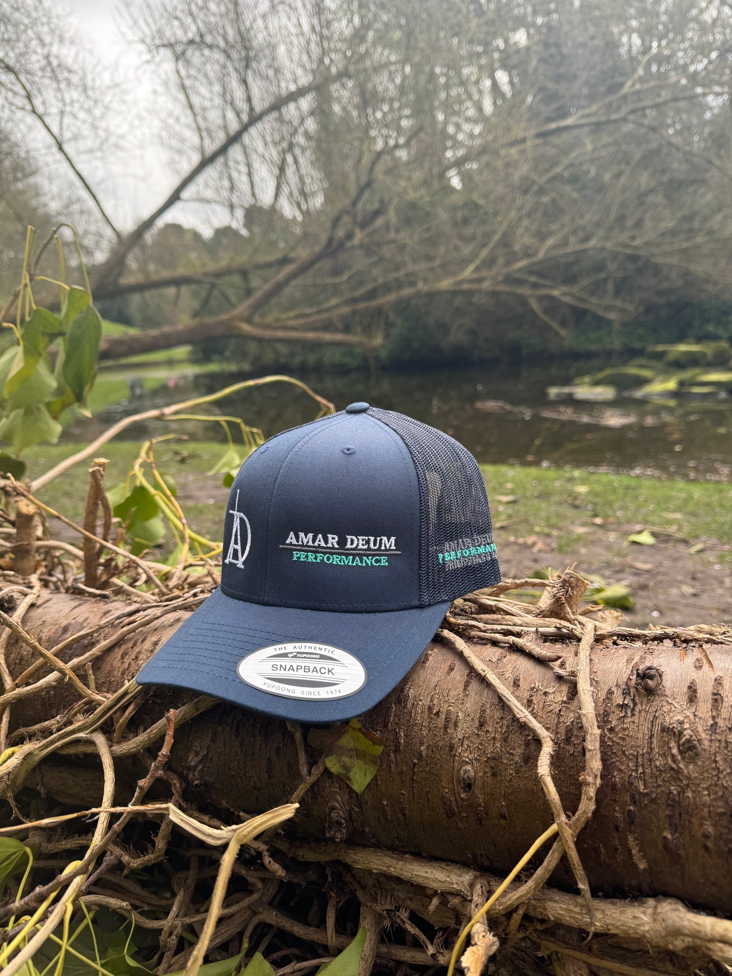 Amar Deum - Performance cap