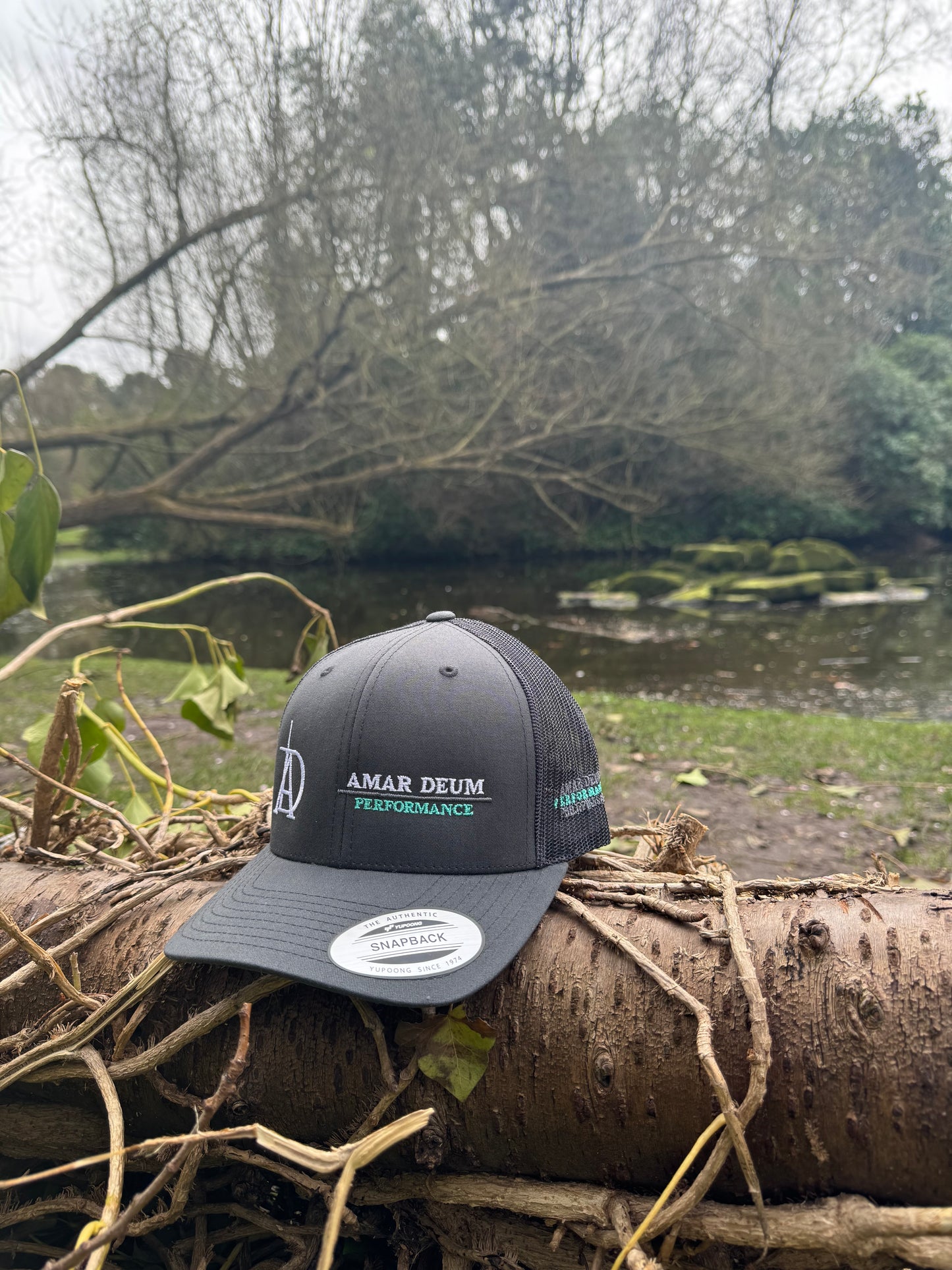 Amar Deum - Performance cap