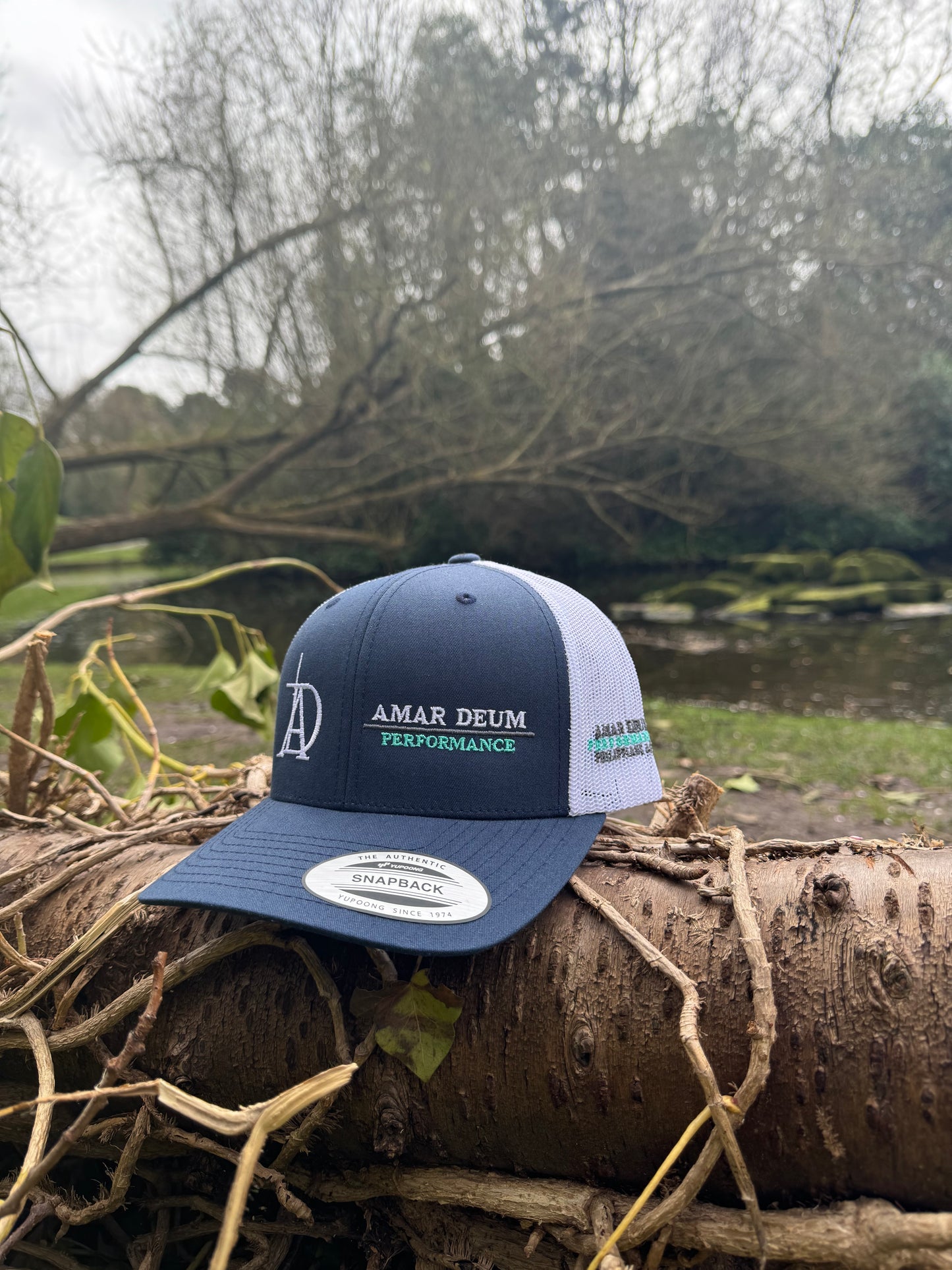 Amar Deum - Performance cap