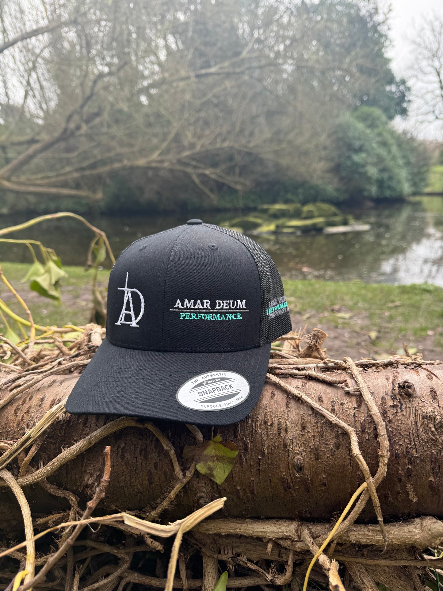 Amar Deum - Performance cap