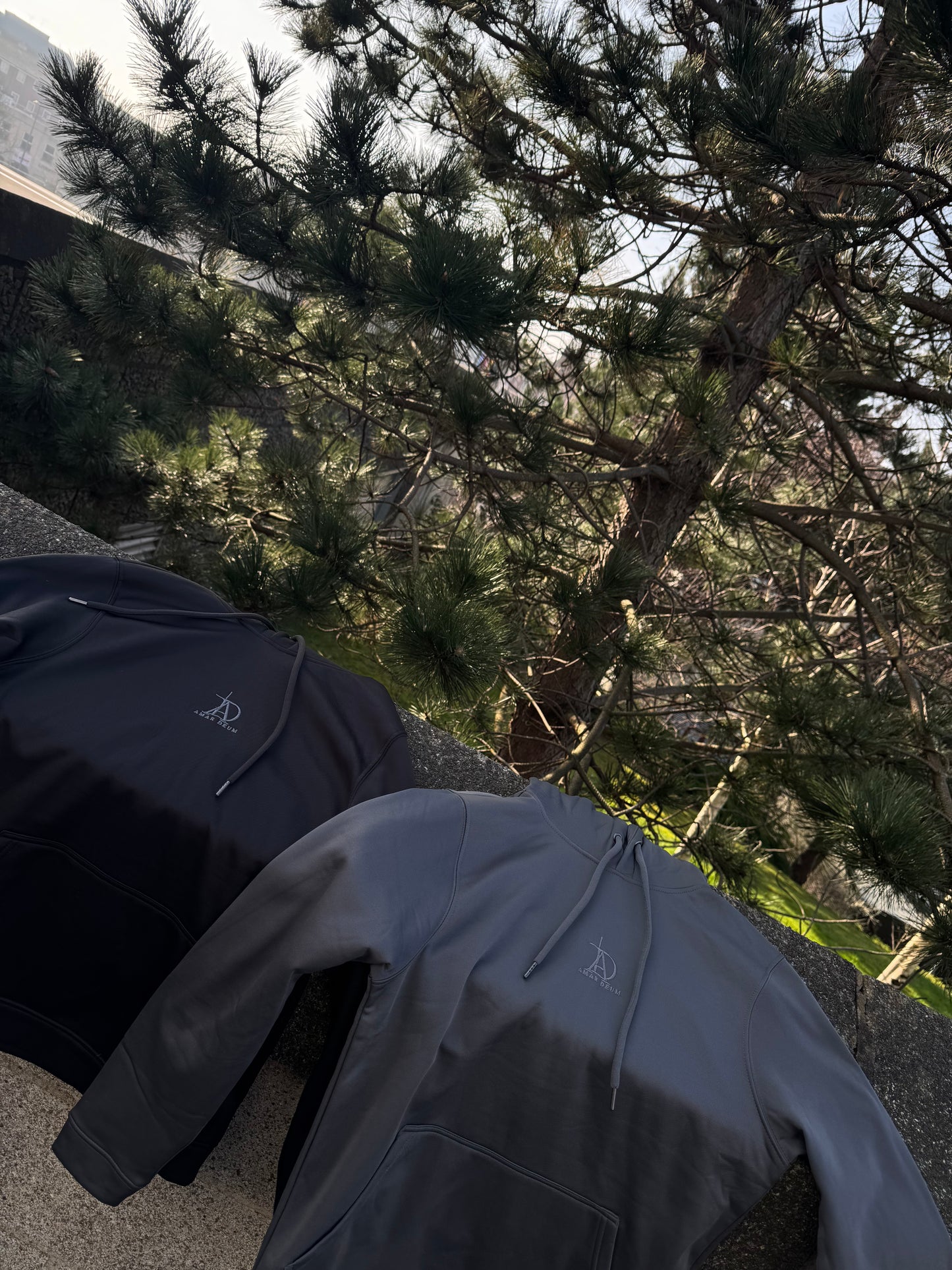 Amar Deum - Guided hoodie